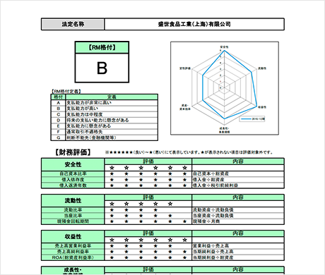 リスモン中国企業信用調査レポートのサンプル